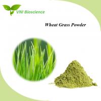 China Food Plant Herbal Extract Anti Aging Barley Grass Extract Powder factory