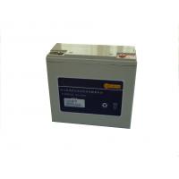 Quality Eco Friendly Electric Vehicle Battery 12V20AH Valve Regulated Lead Acid Battery for sale