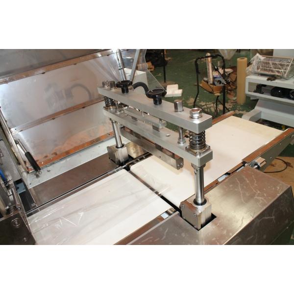 Quality Pillow Bag Meat / Dumpling Frozen Food Packing Machine for sale