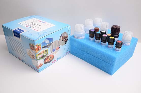 Quality Furaltadone (AMOZ) ELISA Test Kit For Detection Honey Shrimp / Meat / Hepar for sale