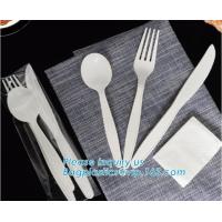 China Biodegradable disposable cutlery eco friendly plastic CPLA cutlery,Disposable Biodegradable Corn Starch Cutlery/Spoon factory
