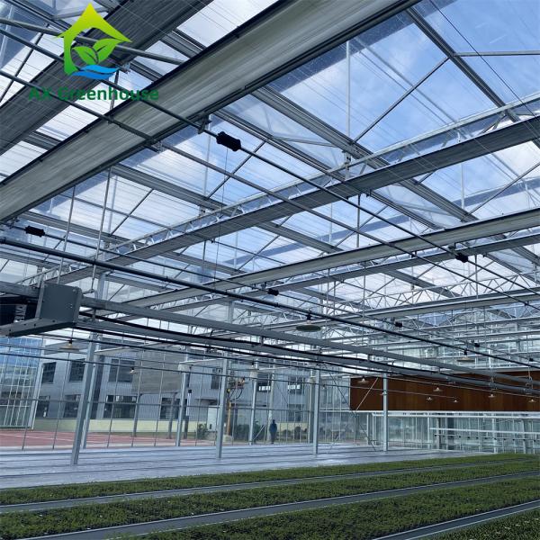 Quality Intelligent Hydroponic Roses Greenhouse for sale