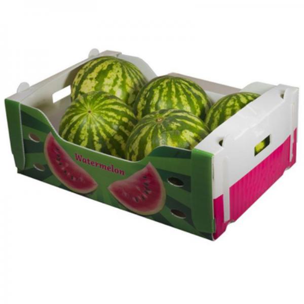 Quality Fruit box by PP material composition of low price for sale