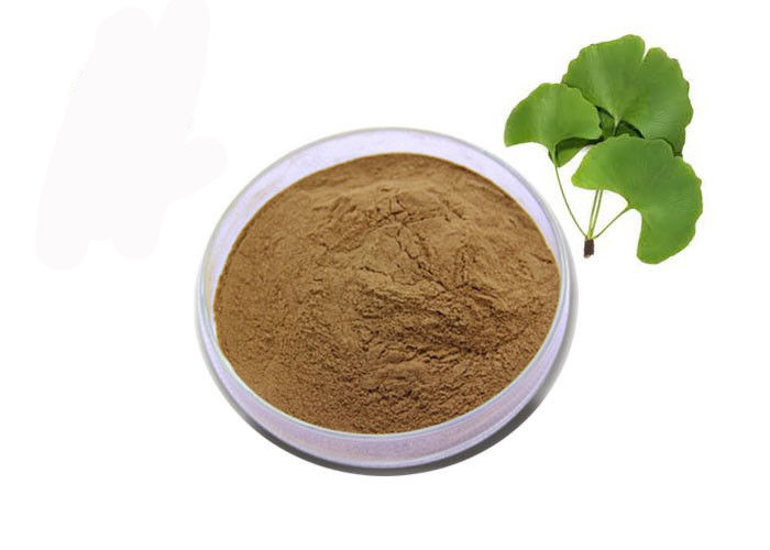China Food Grade Nutritional Brown Ginkgo Biloba Leaf Extract Powder factory