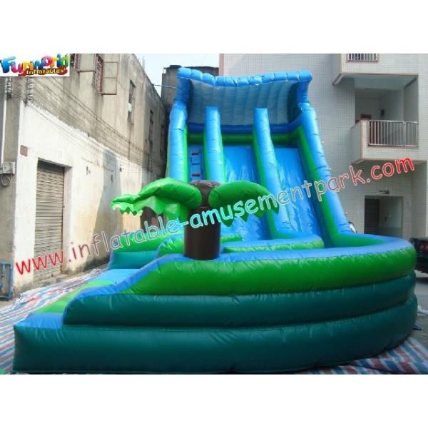 Quality 0.55mm PVC Commercial Coco Outdoor Inflatable Water Slides 10L x 5.5W x 6.5H for sale