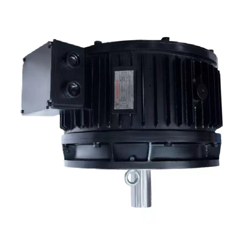 China High Torque Low Speed Direct Drive AC BLDC Motor For Heavy Duty Applications factory