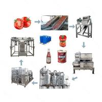 China Industrial Automatic Tomato Ketchup Making Machine 500T/D With Water Recycle System factory