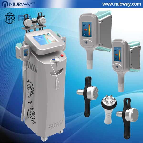 China Sell best weight loss cryolipolysis slimming machine with 5 handles for beauty salon factory