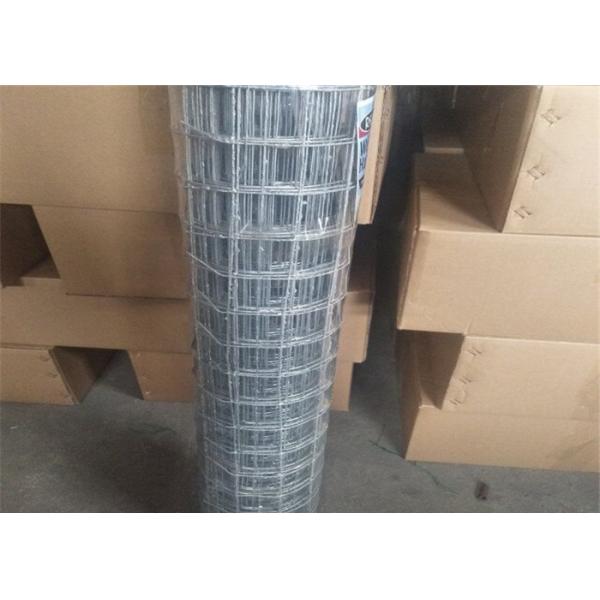 Quality 2''X2'' Welded Wire Mesh Rolls And Panel For Construction 1.2m Width for sale