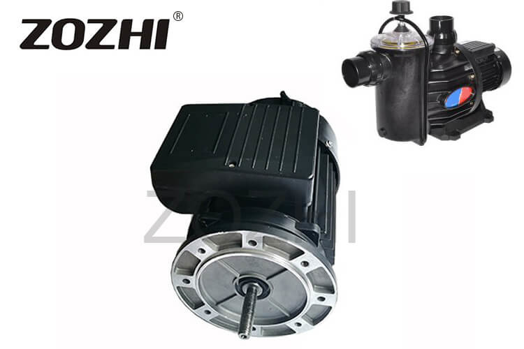 China 230v 50hz Single Phase Electric Motor 0.75kw For Swimming / Spa Pool Motors factory