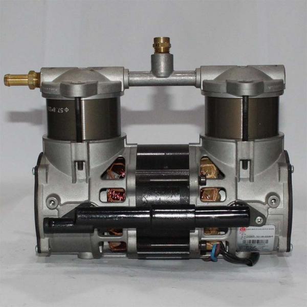 Quality 310W Oil Free Medical Air Compressor GSE Compressor For 5L Oxygen Generator 230V 50Hz for sale