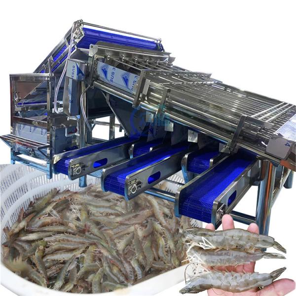 Quality Industrial Prawn Sorting Machine Multiscene Waterproof Automatic for sale