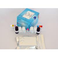 Quality Thiamphenicol ELISA Test Kit Quick ELISA Assay High Sensitivity (0.1 Ng/G Or ppb) for sale
