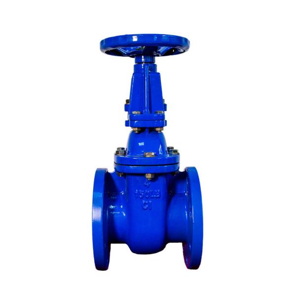 Quality Bolted Bonnet CI Metal Seat Gate Valve 100mm DIN3352 for sale