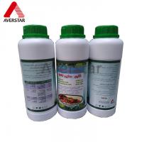 China Carbendazim 98% TC The Essential Ingredient for Pesticide Formulation Processing factory