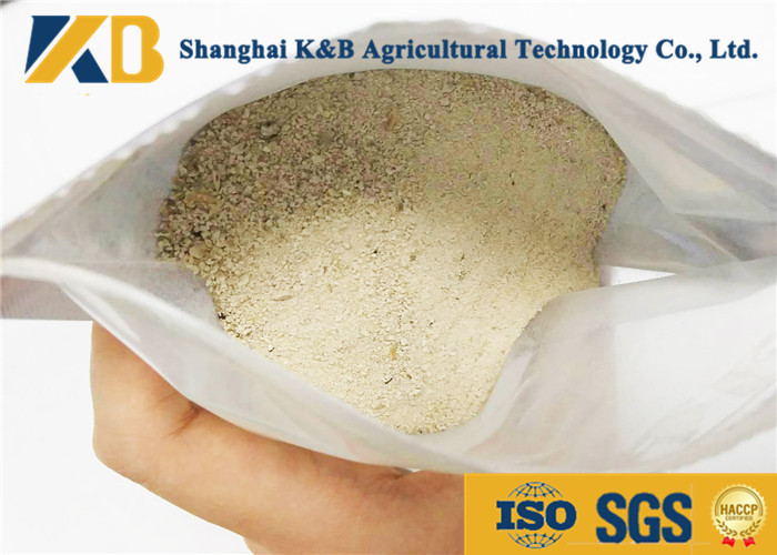 China Organic Rice Protein Powder Promote Poultry Development Save Cost And Energy factory