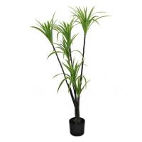 China Dracaena Marginata Artificial Landscape Trees For Home Office Decoration factory