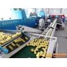 China Easy Operation Lemon Juice Processing Line Machinery In Silver Color CFM-FD-200 factory
