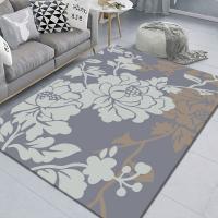 Quality Modern Simple Crystal Velvet Floor Carpet Rug 80x120cm 120x160cm for sale
