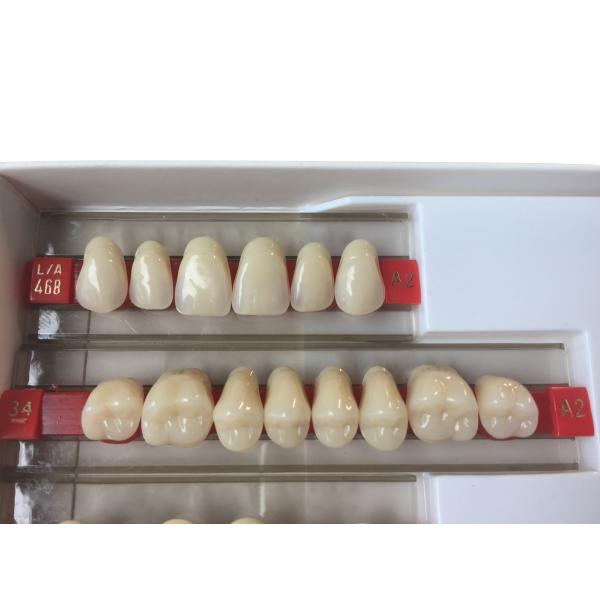 Quality Acrylic Resin Denture Teeth Set Repair Surfaces 2 Layers Super Hard Synthetic for sale
