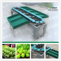 China Guava/Apple/Pear/Mango/Tomato/Potato weight grading machine factory