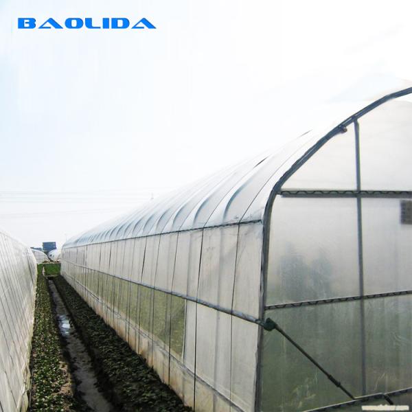 Quality Arch Pipes Reinforced Commercial Polyethylene Film Greenhouse for sale