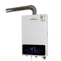China Intelligent Control Constant Temperature Gas Water Heater White factory