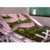 China Industrial Fruit Vegetable Washer Machine Bubbling Turnover Flush Washing factory