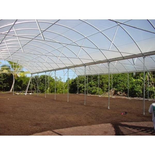 Quality PE Plastic Film Strawberry Plant Greenhouse With Hydroponics System for sale
