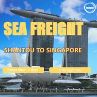 Quality International Sea Freight from Shantou to Singapore Port to Port for sale