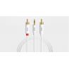China Brand new and original Pisen 3.5mm to 2RCA audio cable, Pisen audio output for computer factory