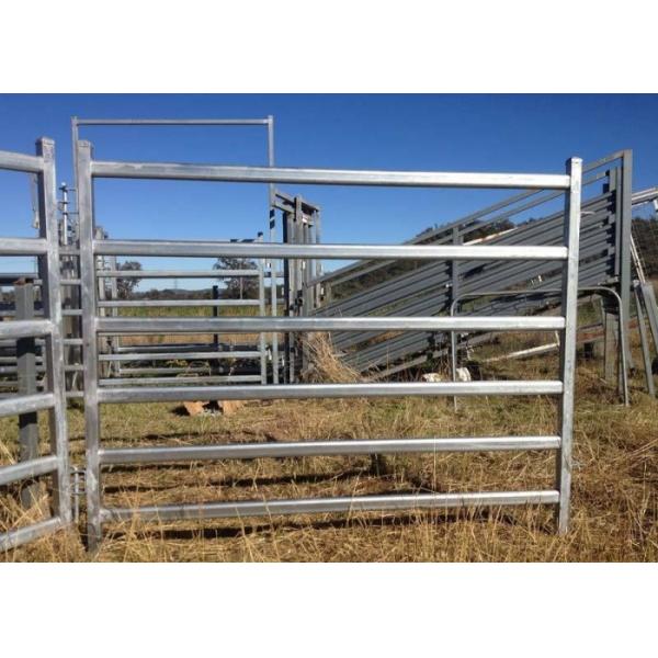 Quality Anti Rust Finish Horse Corral Panels 360 Degree Firmly Welded Surface for sale