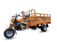 China Luxury Carriage Motorized Cargo Tricycle / Automatic 3 Wheel Motorcycle 250cc factory