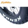 China 26 Inch 1000w Fat Electric Bicycle Kit 26x4.0 Kenda Tyre High Speed 50km/h factory