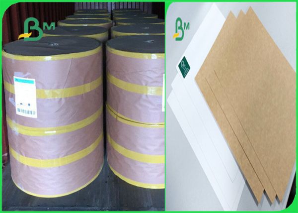 250gsm smooth surface fda white face top of kraft liner for