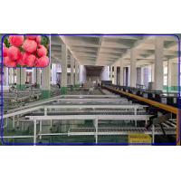 Quality Robot Computer Control Apple Sorting Equipment 2 Channel Intelligent Apple for sale