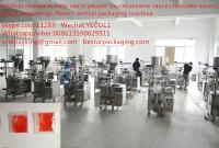 China ketchup small scale stand up pouch packaging machinery factory