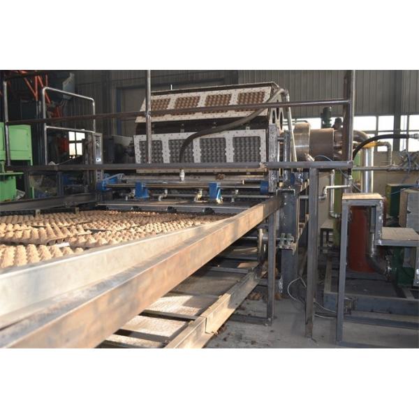 Quality Large Capacity Waste Paper Pulp Moulding Machine For Egg Packaging Carton Making for sale