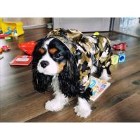 China Reflective Puppy Small Dog Rain Coat , Soft Breathable Waterproof Dog Jacket factory