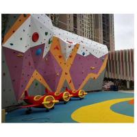 Quality Rock Climbing Wall for sale