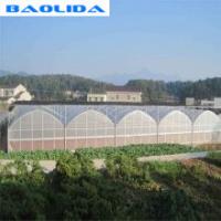 Quality 200 Micron PE Film Multi Span Greenhouse Structure / Polyethylene Foil for sale