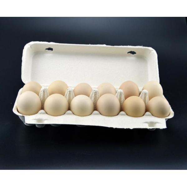 Quality Two Molds Egg Tray egg box Making Machine with metal dryer for sale