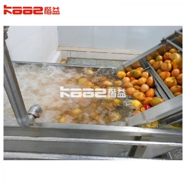 Quality Automatic Mango Juice Production Line SS304  All Fruit Juice Making Machine for sale