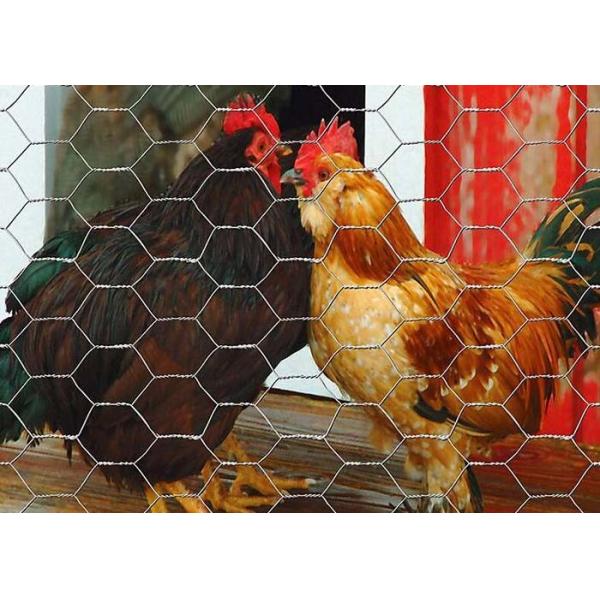 Quality Yard Guard Poultry Netting Metal Wire Fence Predator Fence For Chickens for sale