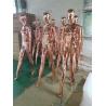 China YAVIS full body stand female dolls dummy dress form mannequin torso adjustable mannequin poseable mannequin factory