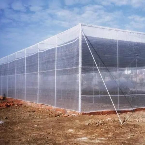 Quality HDPE 5000S Agriculture Insect Net 50m 100m UV Resistant for sale