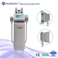 China looking for agents to distribu Cryolipolysis Slimming Machine from china factory