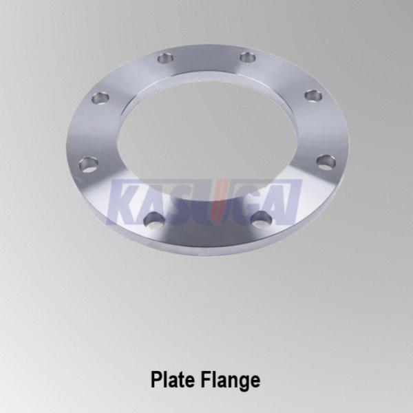 Quality Class 150 Stainless Steel Pipe Flanges 1/2" To 24" ASTM A182 Tube Fittings for sale
