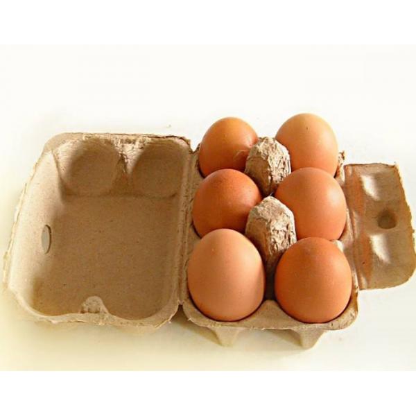 Quality Customized Paper Egg Tray Machine Semi Automatic Type Computer Controlled for sale