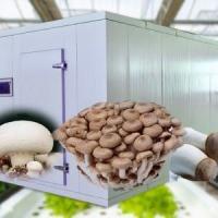 China Shipping Container Greenhouse for Mushroom Cultivation in Smart Design JX-CG-0001 factory